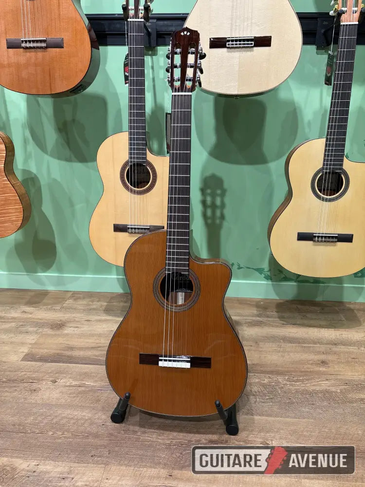 Cordoba Fusion 12 Nat Cedar Guitare Classique