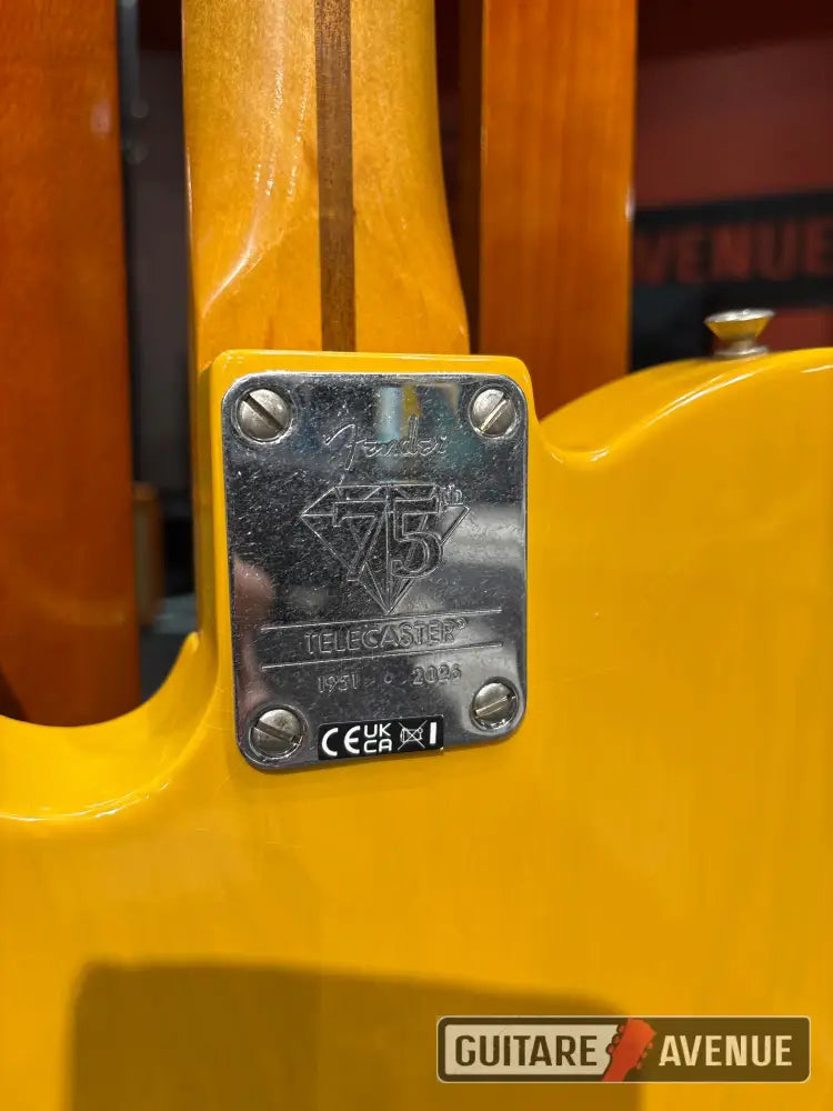 Fender 75th Anniversary Telecaster 1951 vintera roadworn edition limitée Guitare électrique