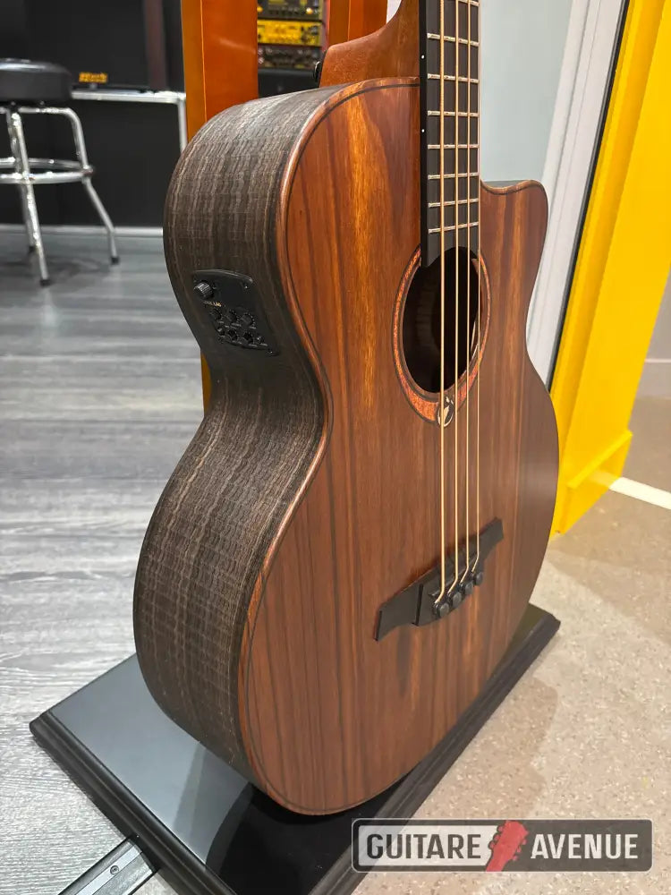 Lag Sauvage BCE - basse acoustique