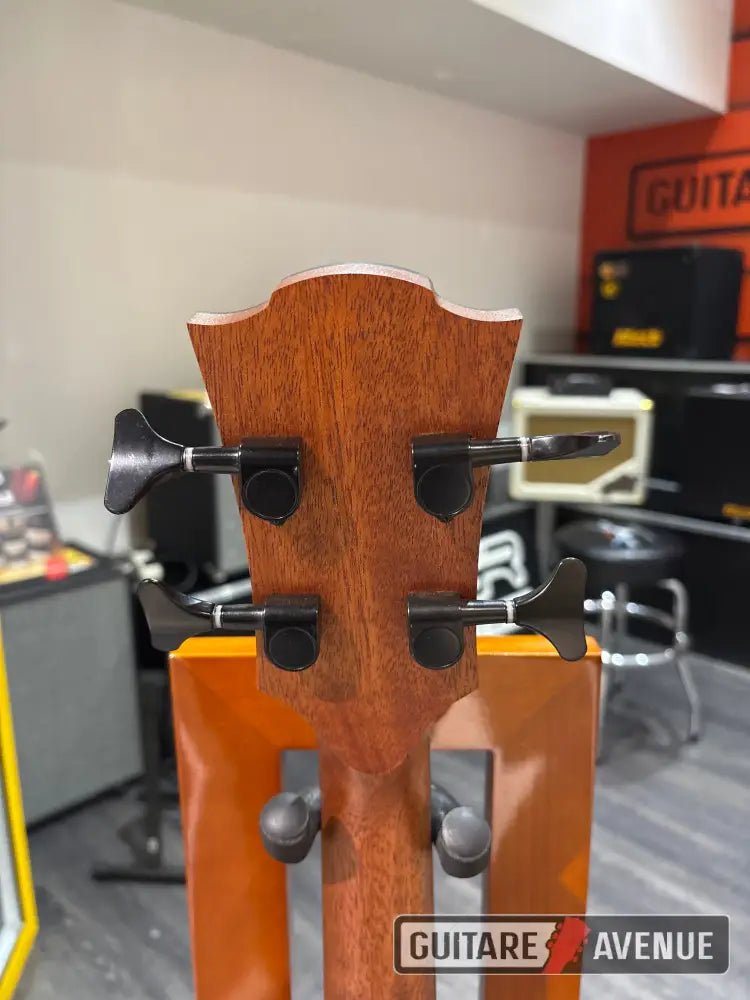 Lag Sauvage BCE - basse acoustique
