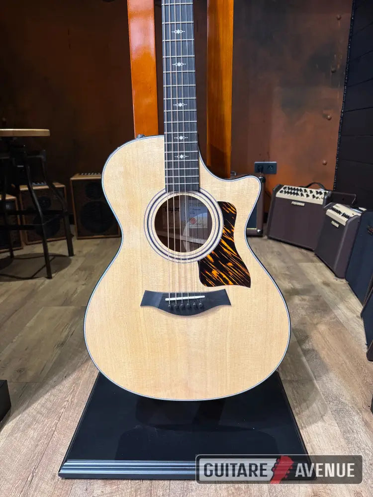 Taylor 312CE Guitare acoustique