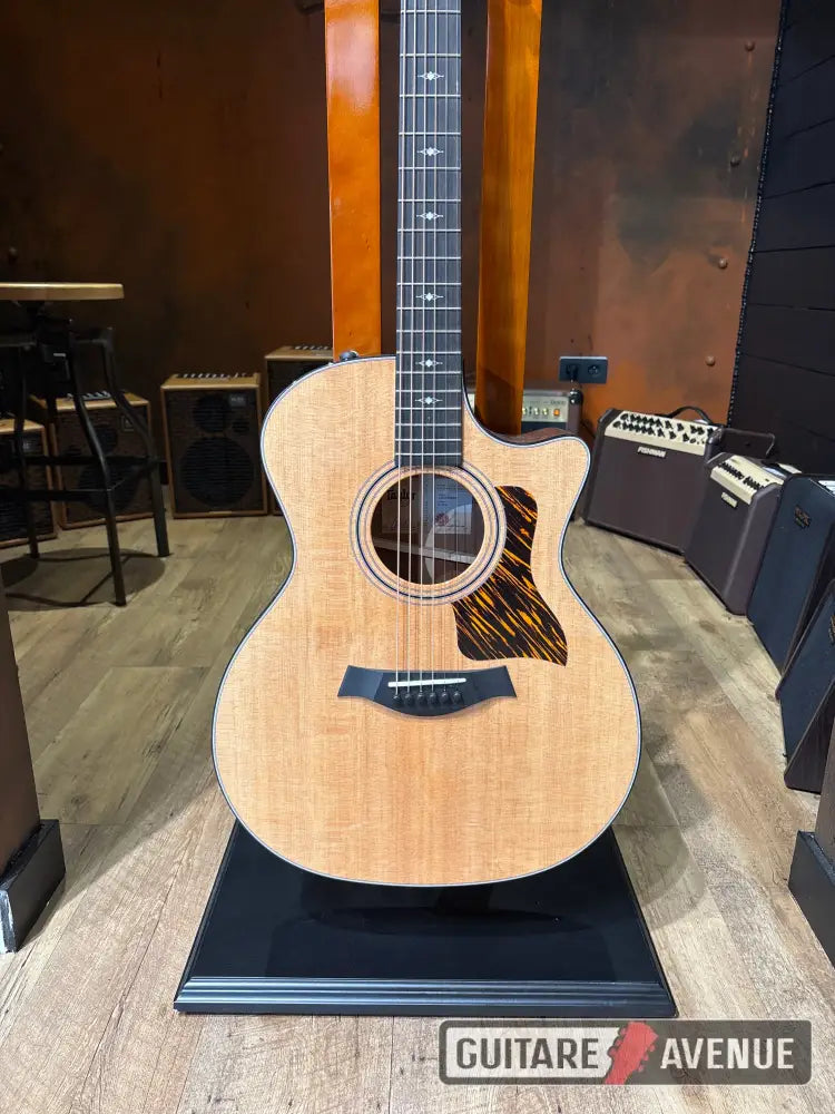 Taylor 314CE Guitare acoustique