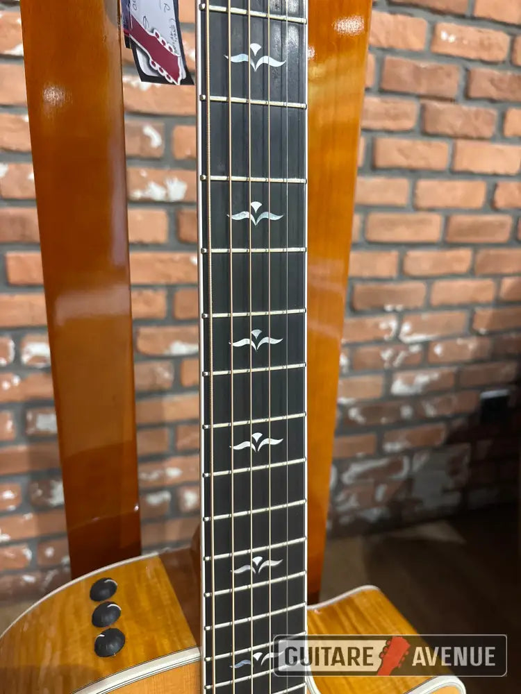 Taylor 614CE - Occasion - Guitare électro-acoustique