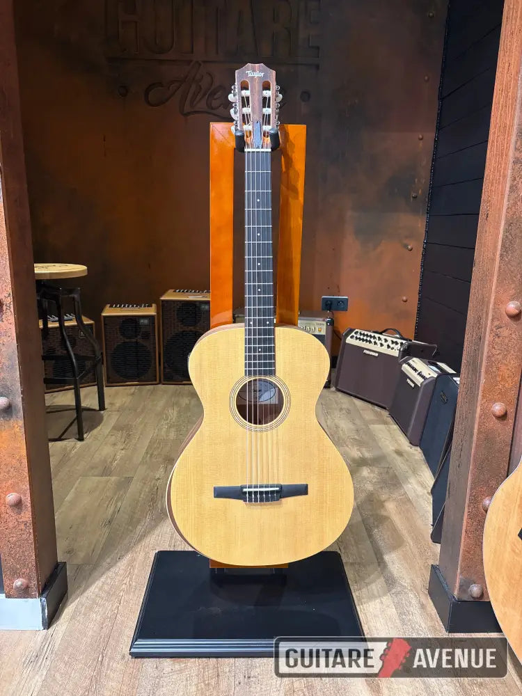 Taylor Academy 12eN Guitare acoustique