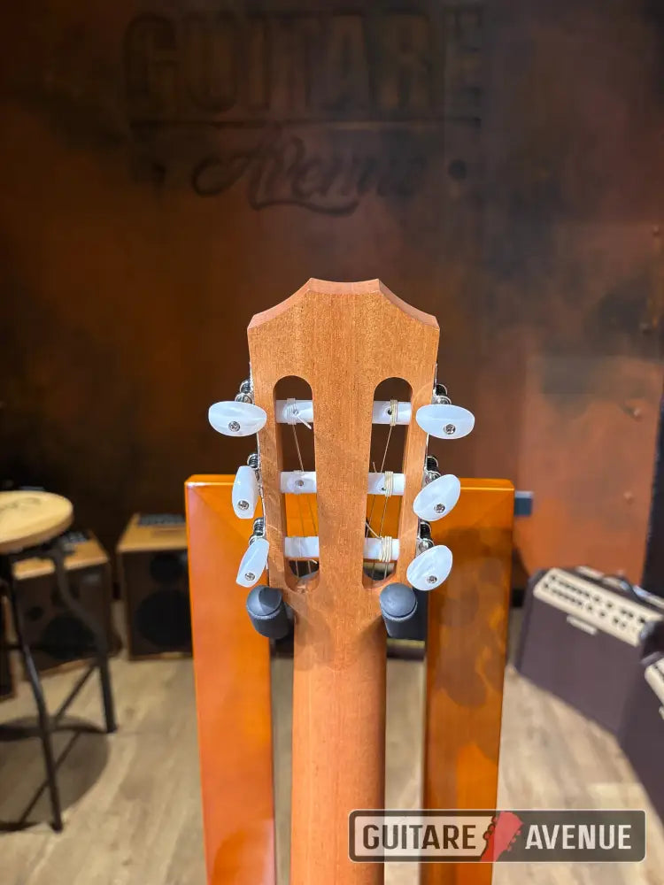 Taylor Academy 12eN Guitare acoustique