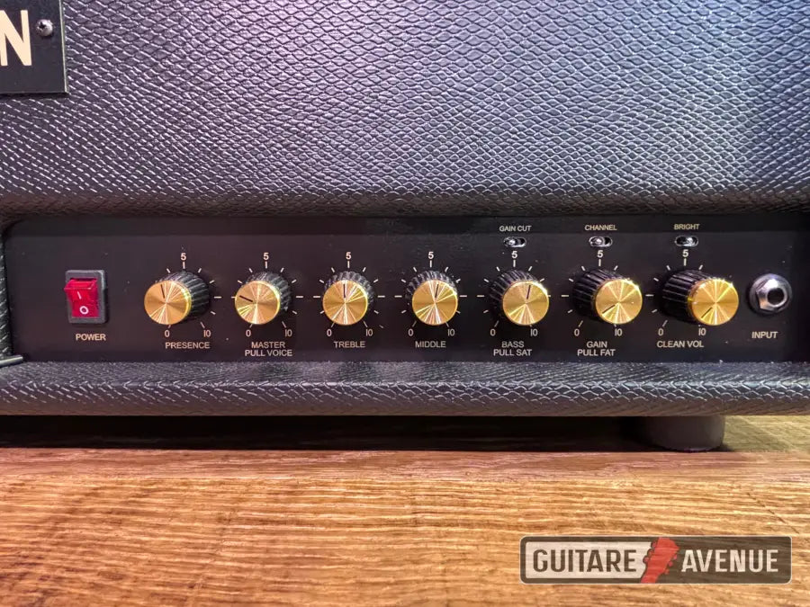 Friedman WW20 - occasion Ampli