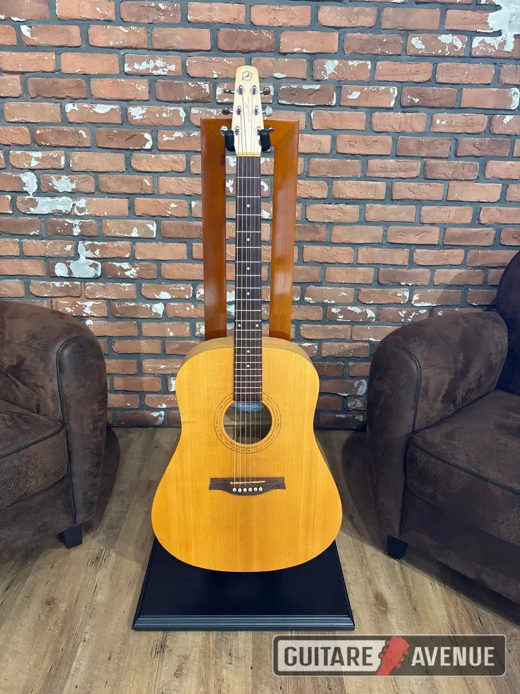 Seagull excursion nat SG - Occasion Guitare acoustique