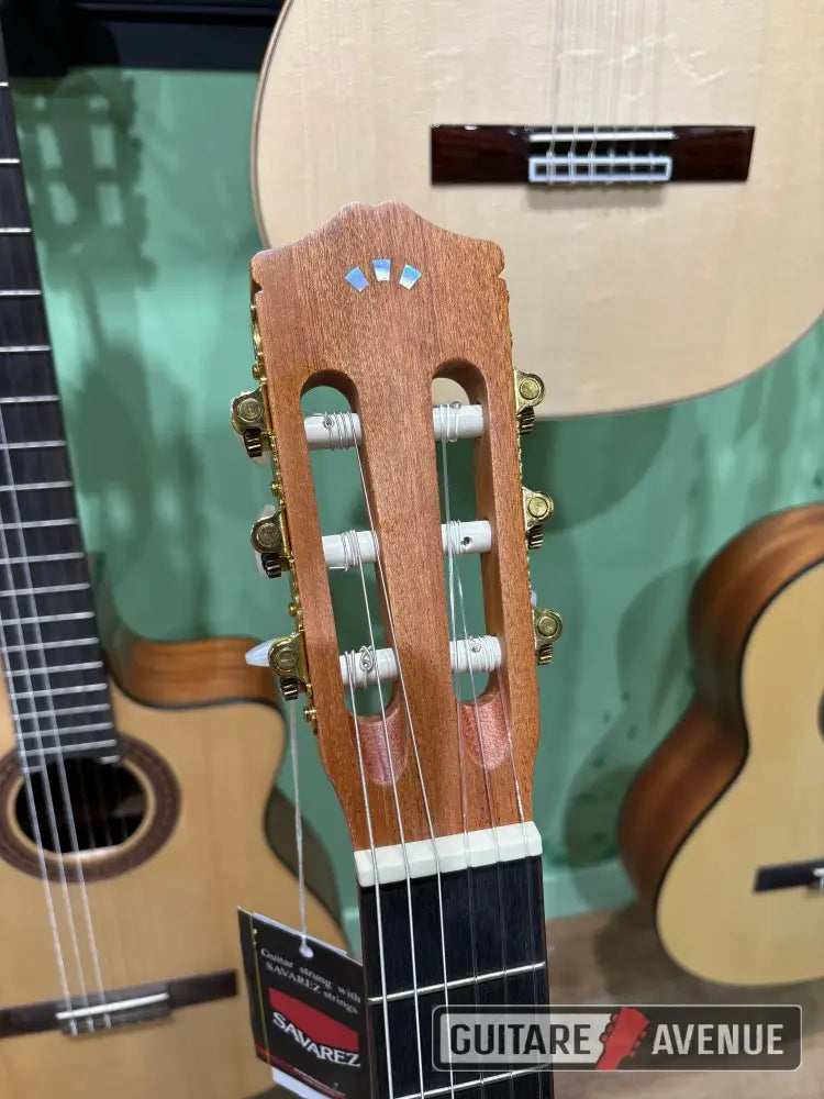 Cordoba C1 Guitare Étude Guitare Classique