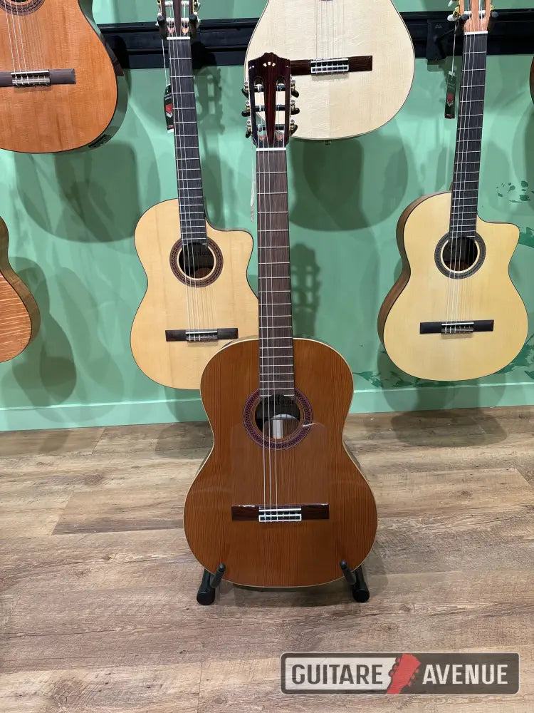 Cordoba F7 Paco Guitare Classique