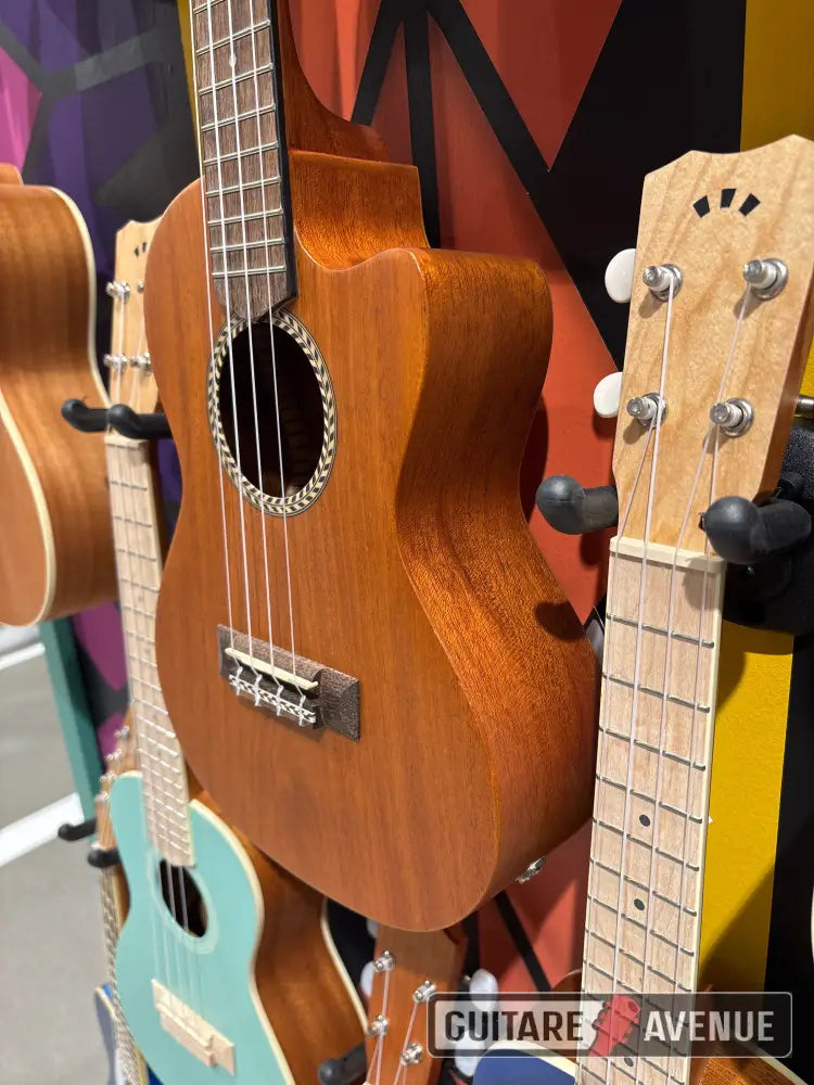 Cordoba Ukulele 20Tm Ce Ukulélé