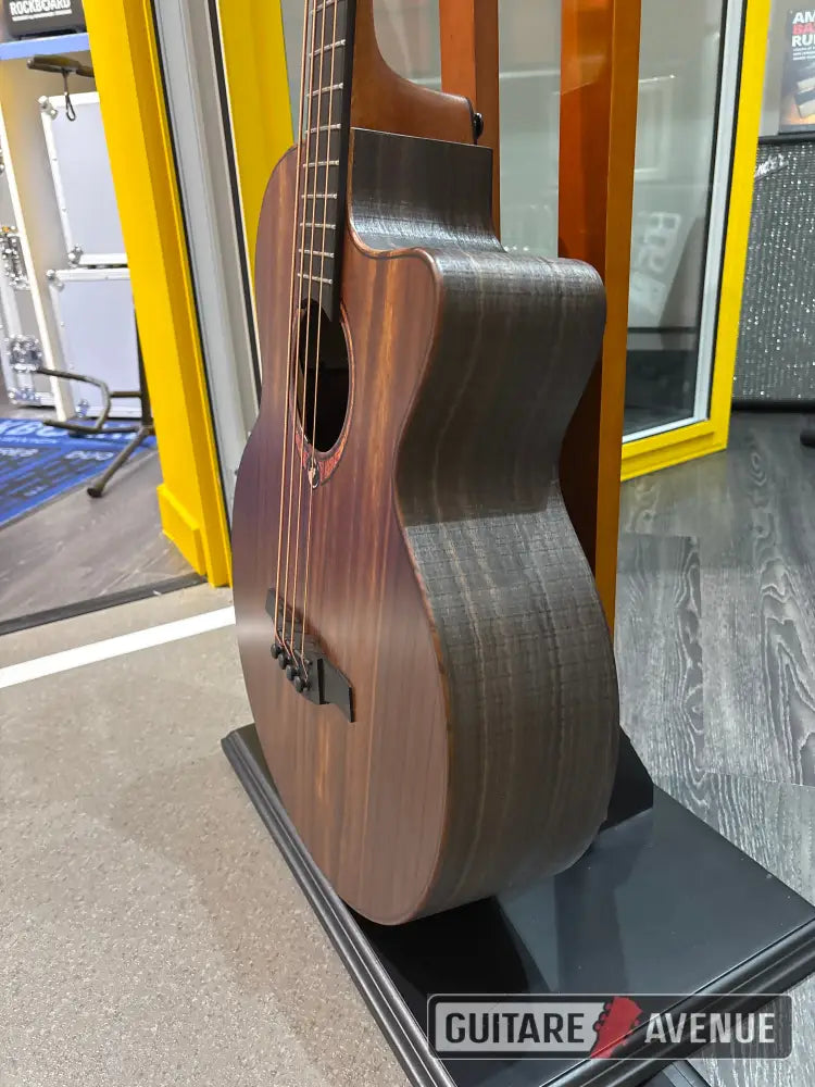 Lag Sauvage BCE - basse acoustique