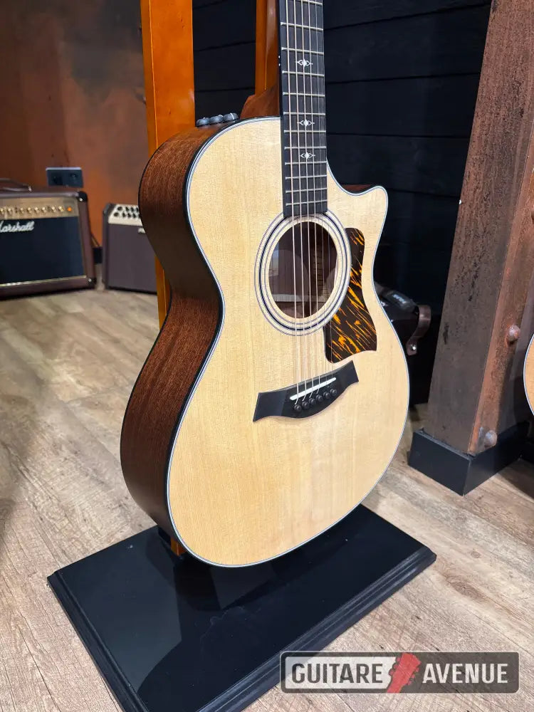 Taylor 312CE Guitare acoustique
