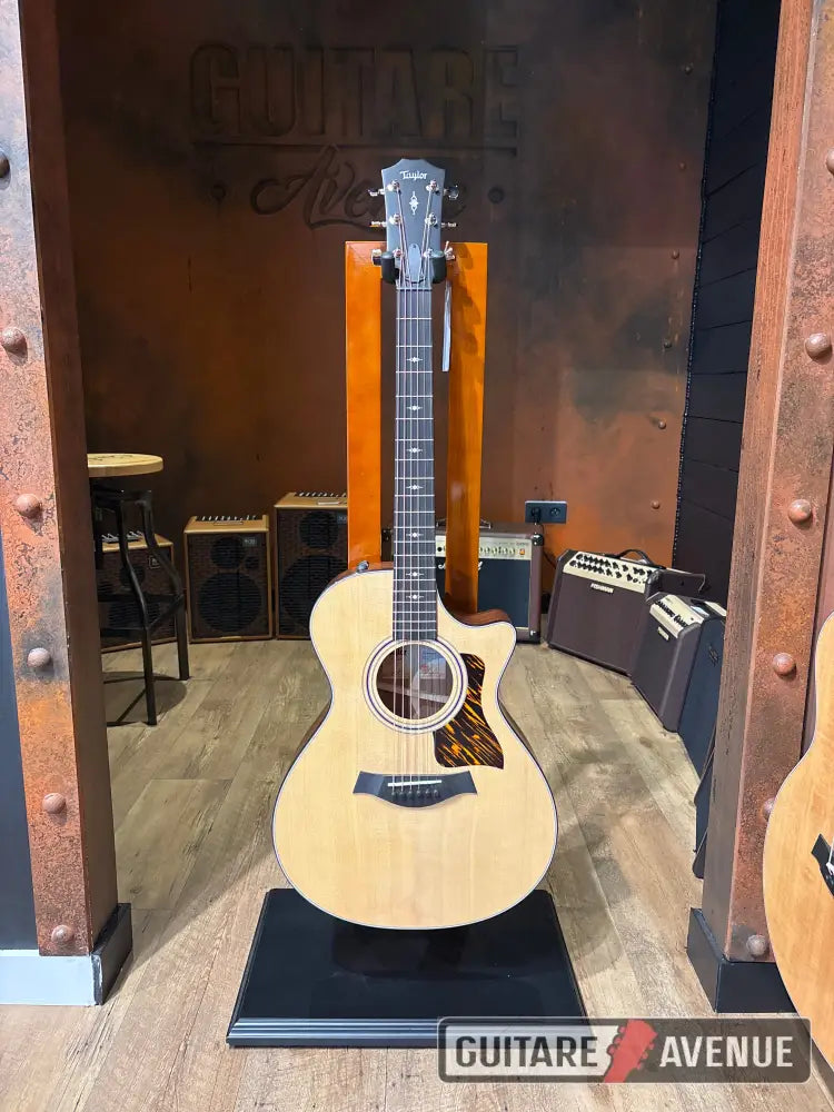 Taylor 312CE Guitare acoustique