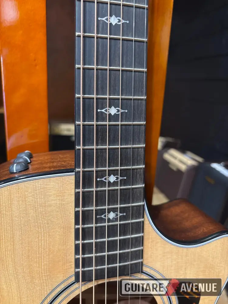 Taylor 312CE Guitare acoustique