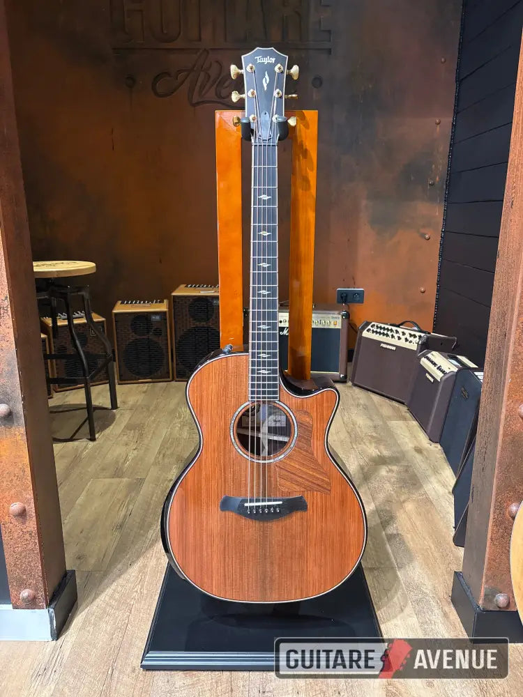 Taylor Builders édition 814 ce limited rosewood Guitare acoustique
