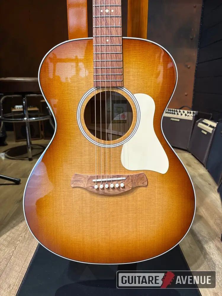 Taylor Gold Label Ben Harper Special Edition - Guitare acoustique